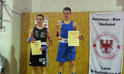 LM 2014